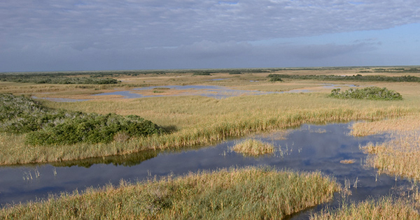 Everglades