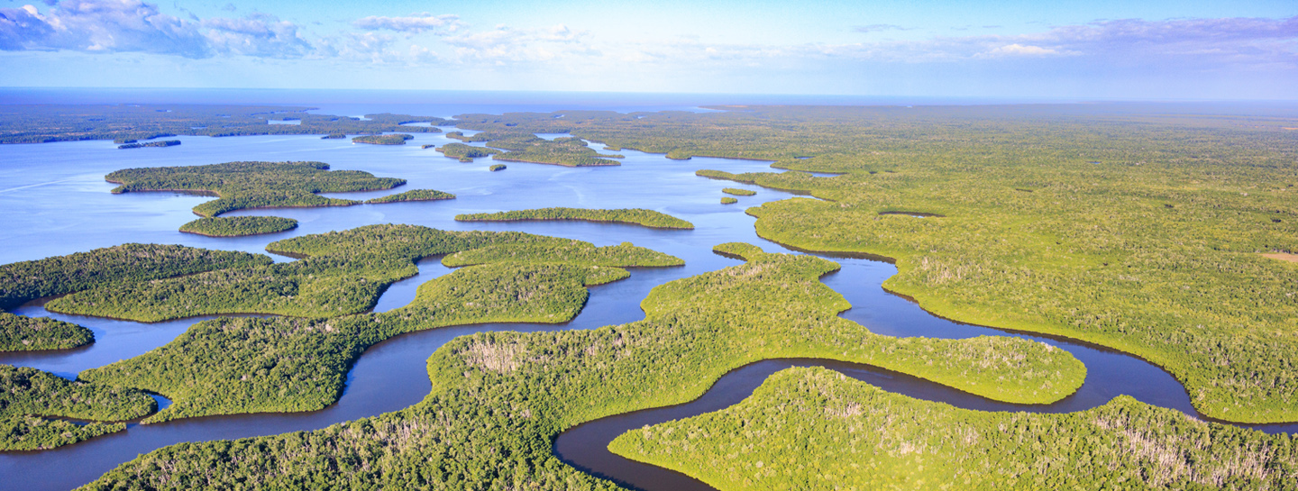 Everglades aeriel view