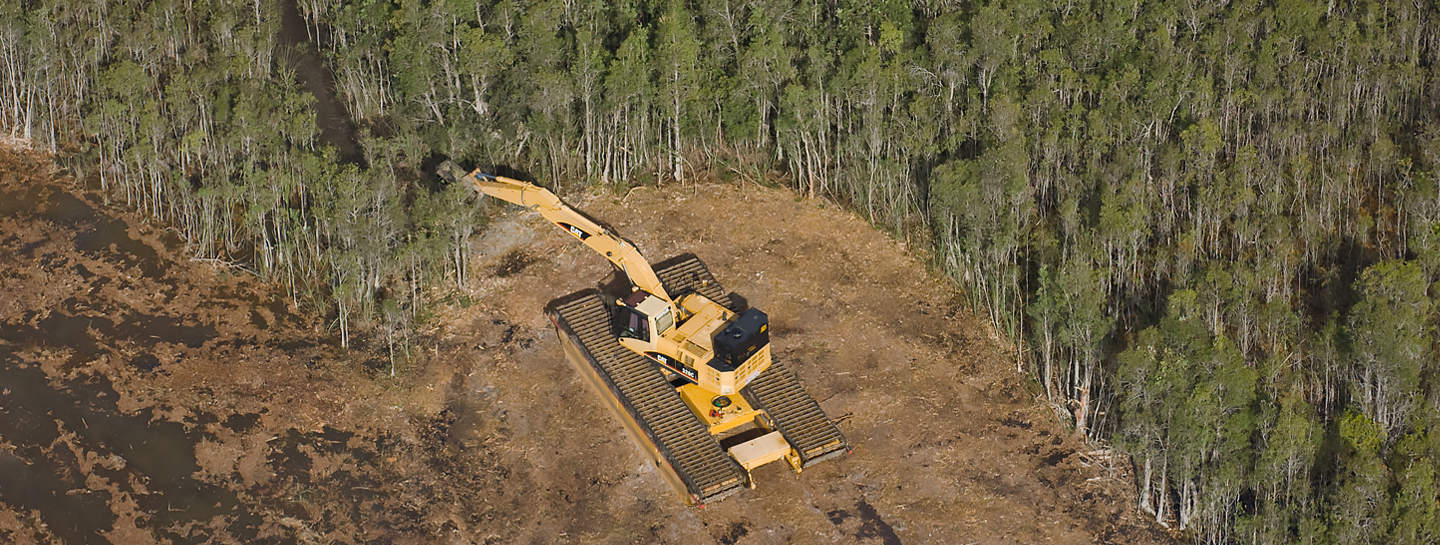 Excavator removing trees along wetland edge