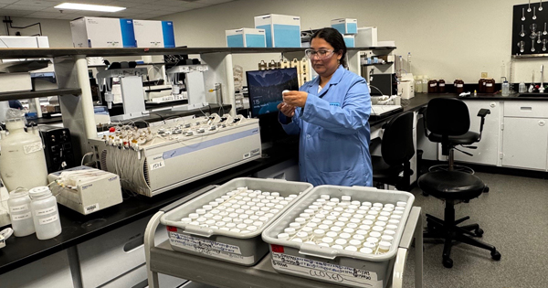 Laboratory staff looking at a sample