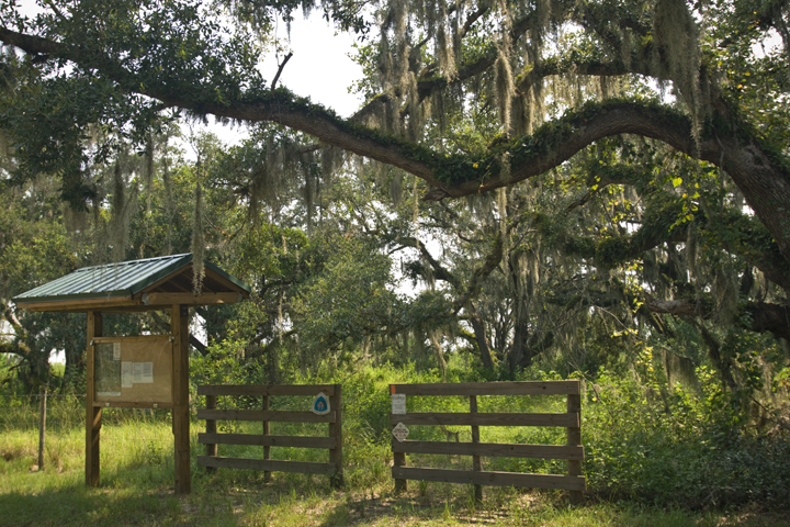 Entrance sign to Bluff Hammock surrounded by trees