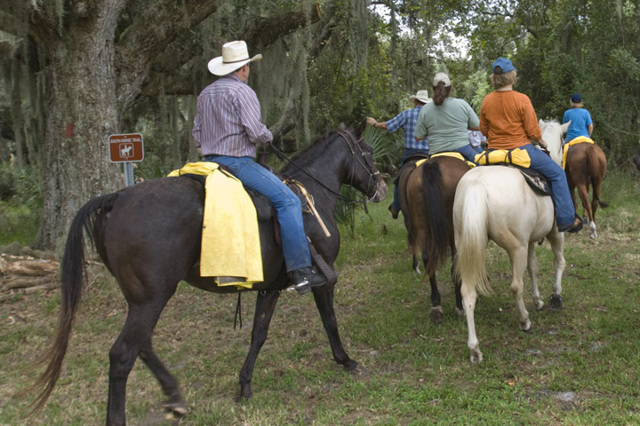 Group of people horseback riding.