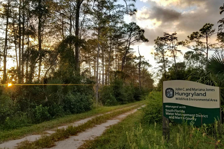 Hungryland Entrance Sign Surrounded by Trees