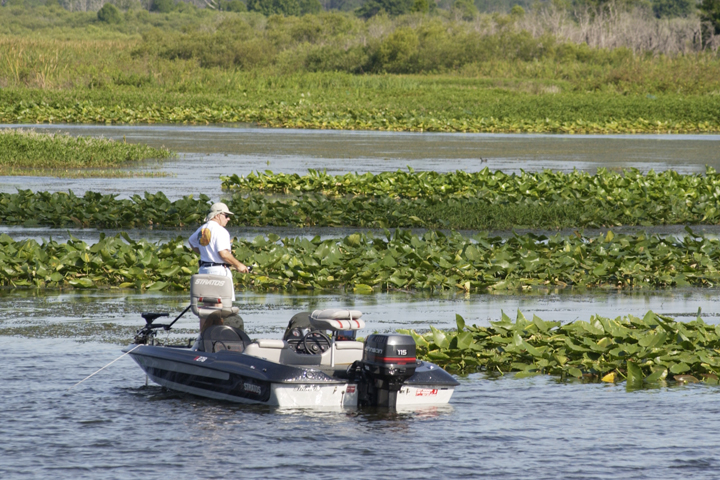 Man on a boat fishing at Lake Hatchineha 