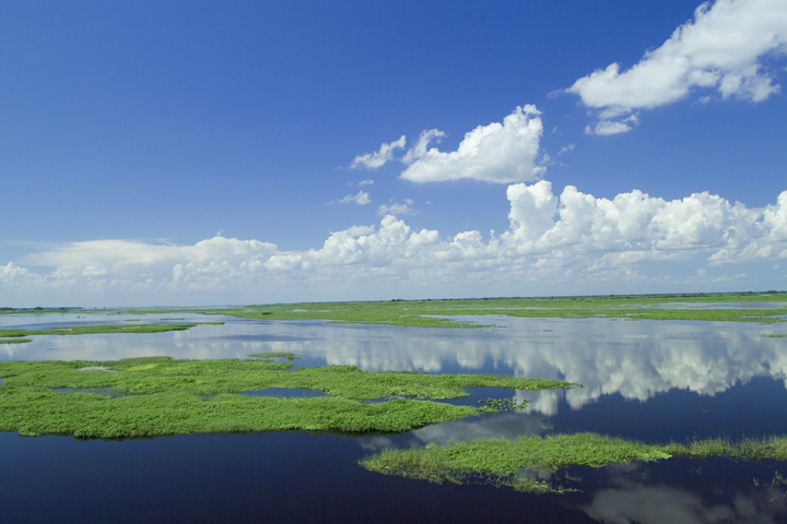 scenic view of Lake Kissimmee with green vegetation and calm blue water