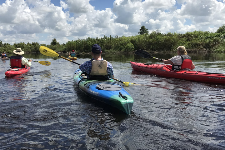 Four canoes with people paddling on a lake.