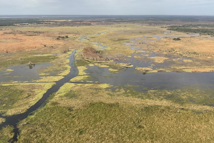 Rough Island at Reedy Creek
