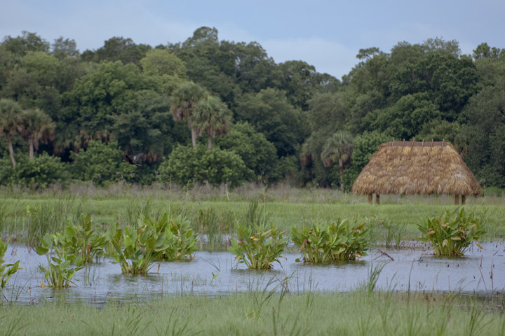 Chickee Hut Shelter at Taylor Creek STA