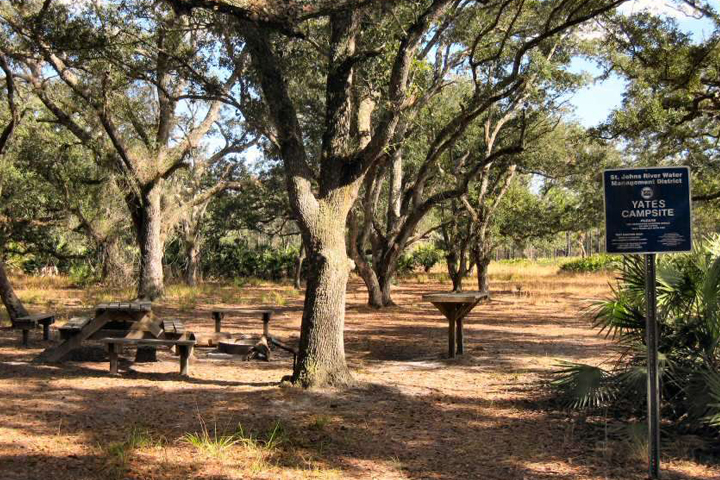 Picnic tables surrounded by trees
