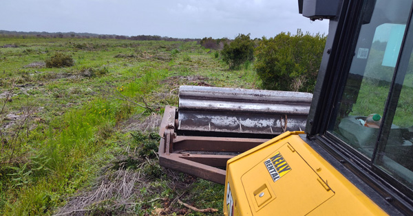 roller chopping wood and plants