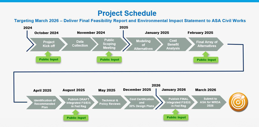 Project Milestones Graph