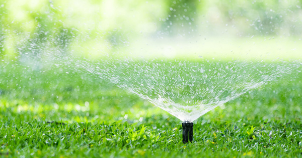 Sprinkler watering green grass