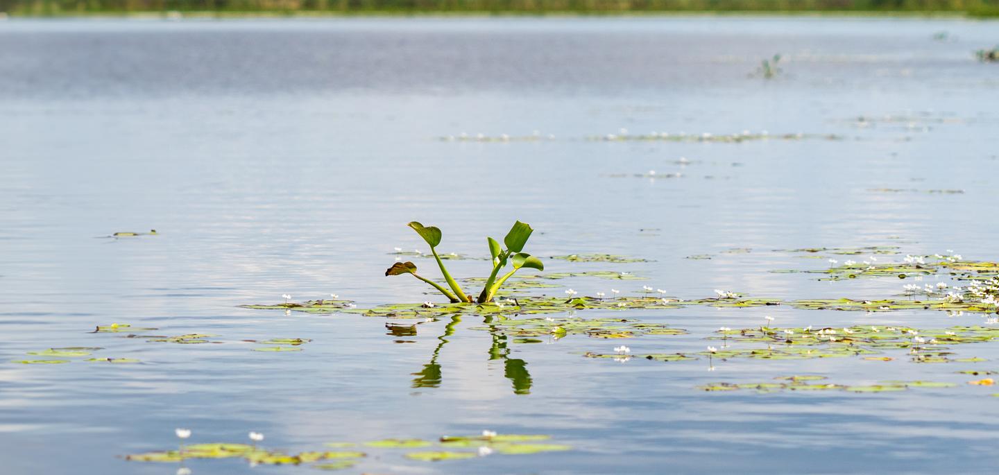 Operational Planning  South Florida Water Management District